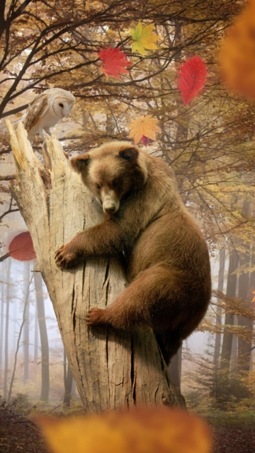 Sfondi Bear In Autumn Forest 360x640