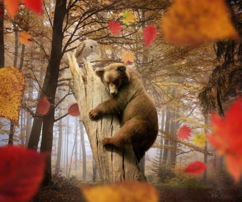 Обои Bear In Autumn Forest 480x400