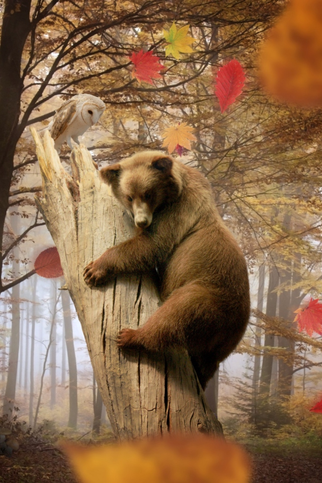 Sfondi Bear In Autumn Forest 640x960