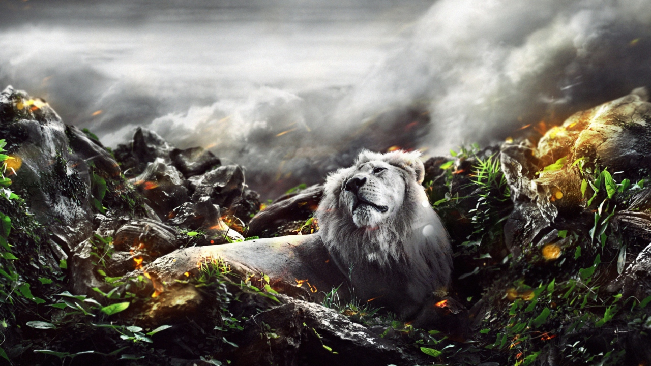 Screenshot №1 pro téma Lion Art 1280x720