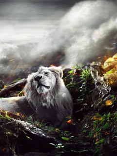 Screenshot №1 pro téma Lion Art 240x320