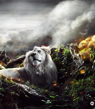 Lion Art - Obrázkek zdarma pro Nokia X3-02
