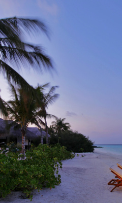 Exotic Beach Rosalie Bay, Dominica screenshot #1 240x400