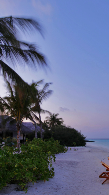 Sfondi Exotic Beach Rosalie Bay, Dominica 360x640