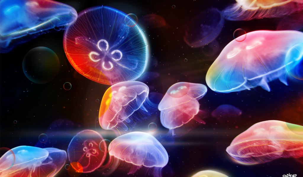 Underwater Jellyfishes wallpaper 1024x600