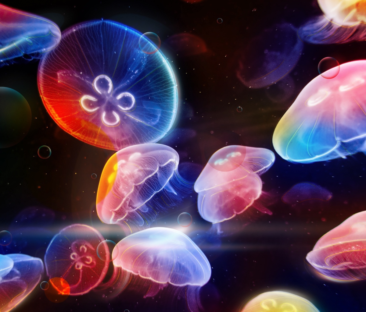 Underwater Jellyfishes wallpaper 1200x1024