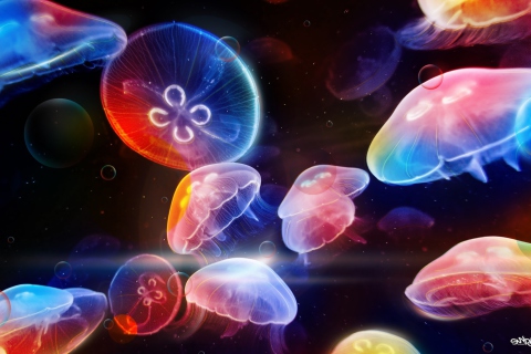 Обои Underwater Jellyfishes 480x320