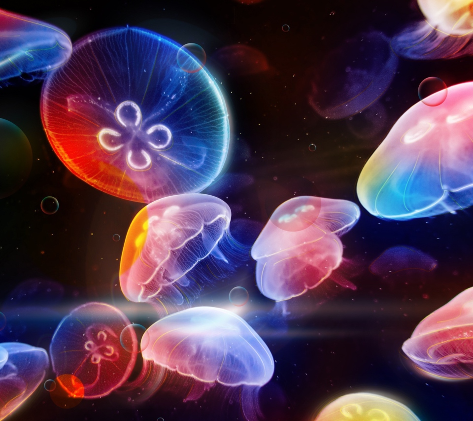 Das Underwater Jellyfishes Wallpaper 960x854