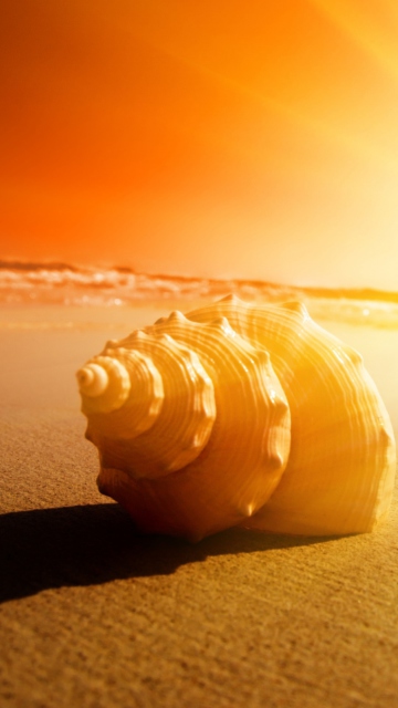 Shell On Beach screenshot #1 360x640