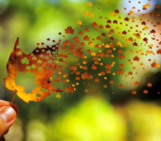 Autumn Love Leaf - Obrázkek zdarma pro 128x128