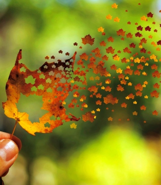 Autumn Love Leaf - Obrázkek zdarma pro 640x1136