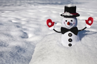 Cute Snowman Background for Android, iPhone and iPad