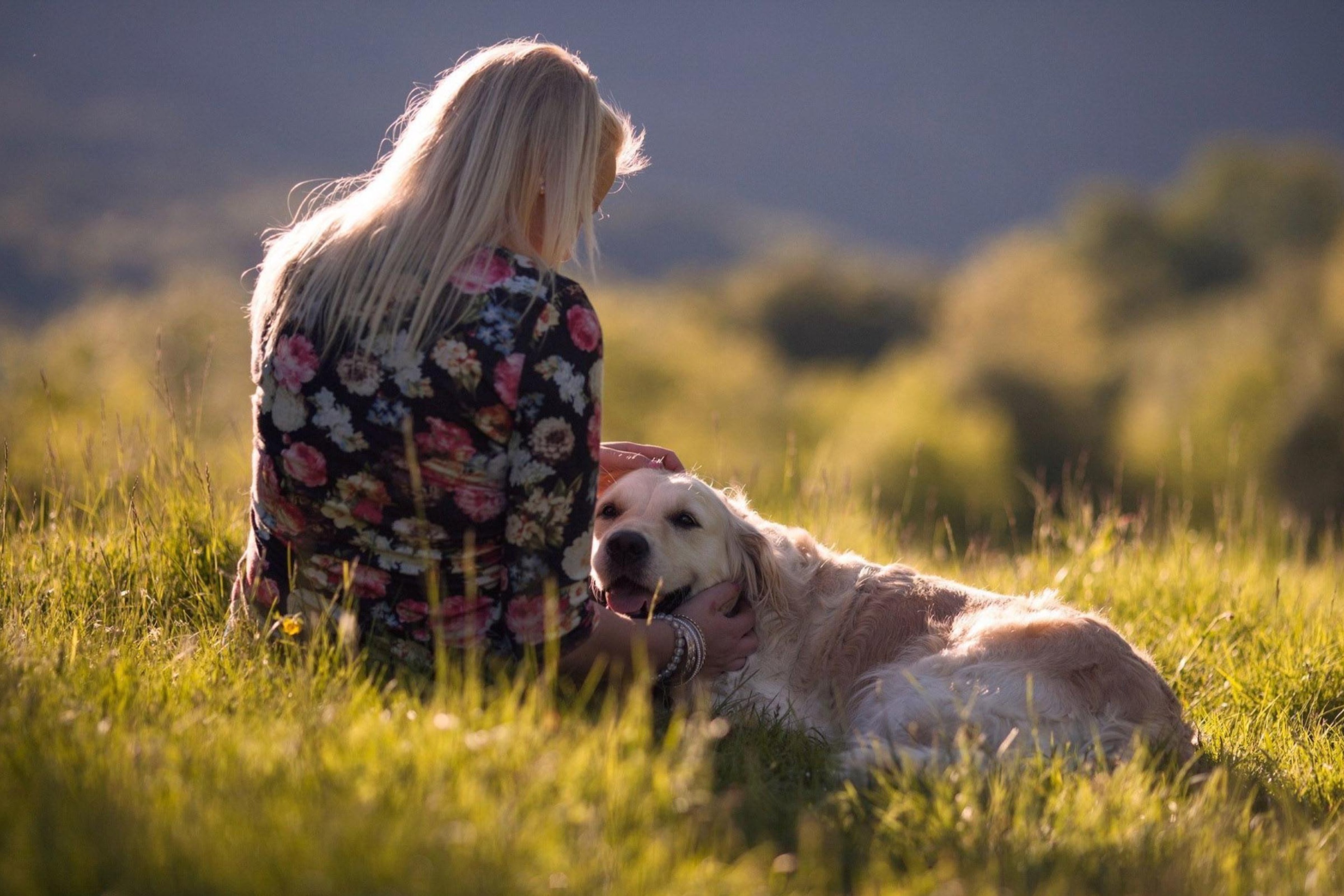 Girl with Retriever Dog screenshot #1 2880x1920