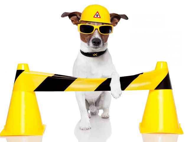 Working Dog wallpaper 640x480