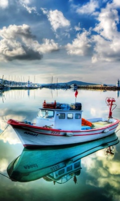 Newfoundland Island screenshot #1 240x400