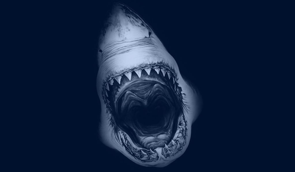 Обои Terrifying Mouth of Shark 1024x600