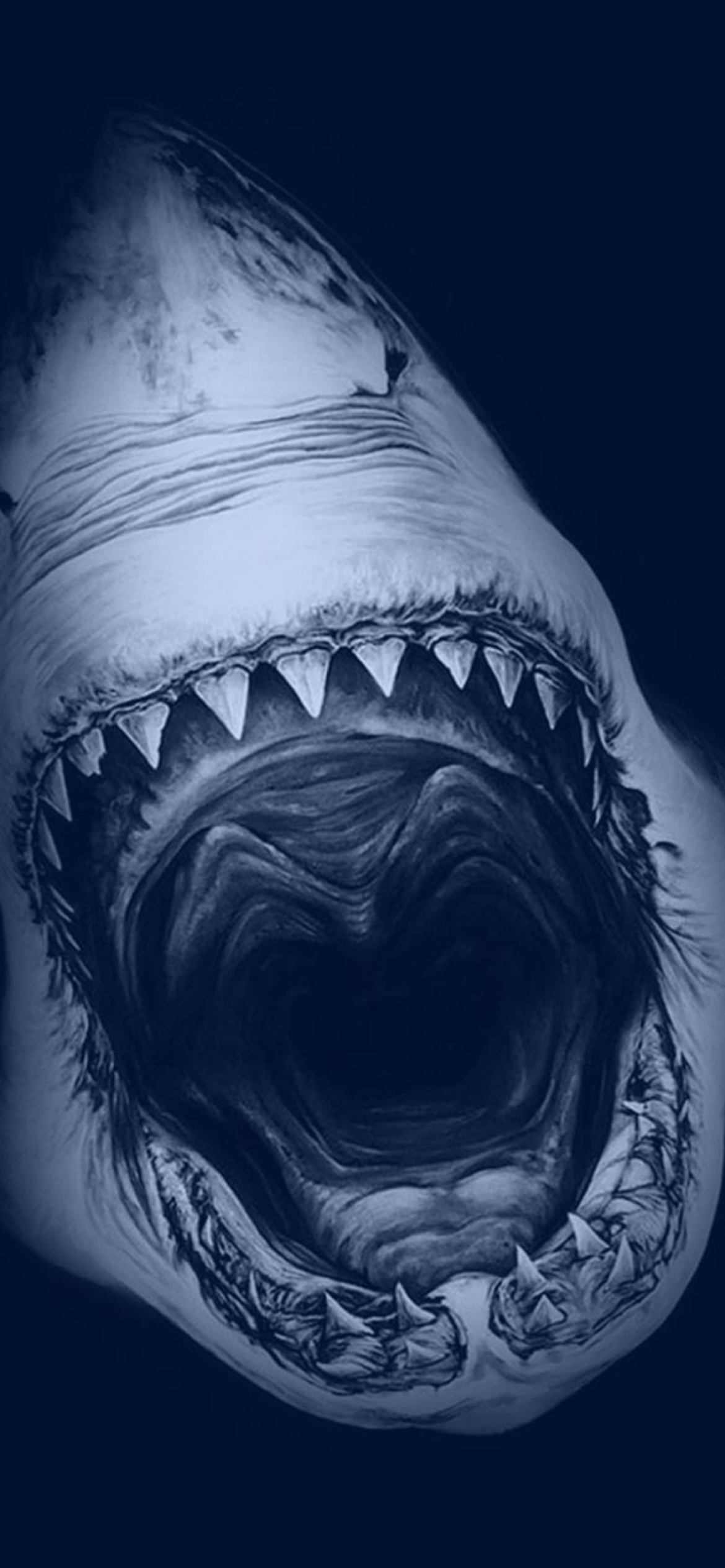 Das Terrifying Mouth of Shark Wallpaper 1170x2532
