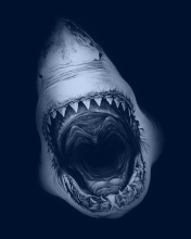 Обои Terrifying Mouth of Shark 176x220