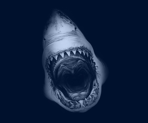 Terrifying Mouth of Shark wallpaper 480x400