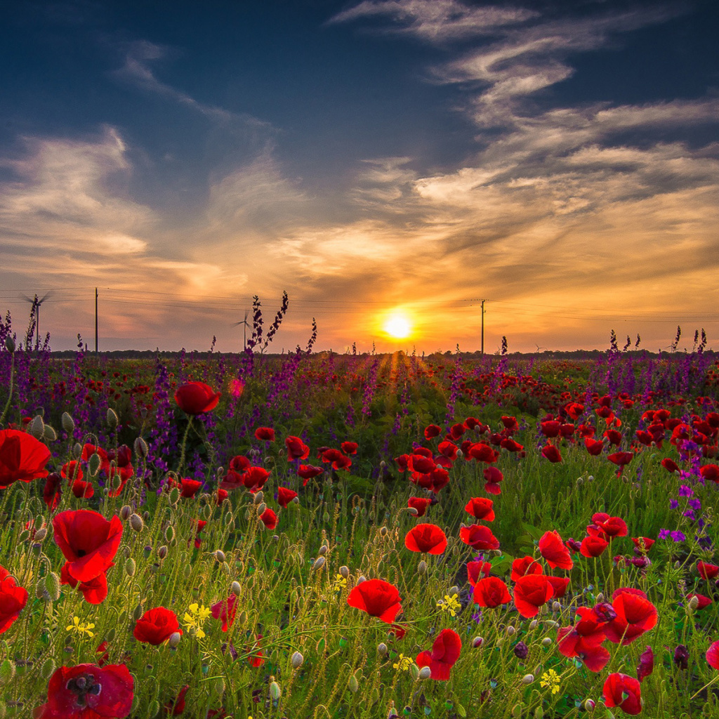 Early Morning in Crimea wallpaper 1024x1024