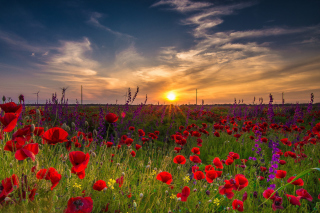 Early Morning in Crimea Background for Android, iPhone and iPad