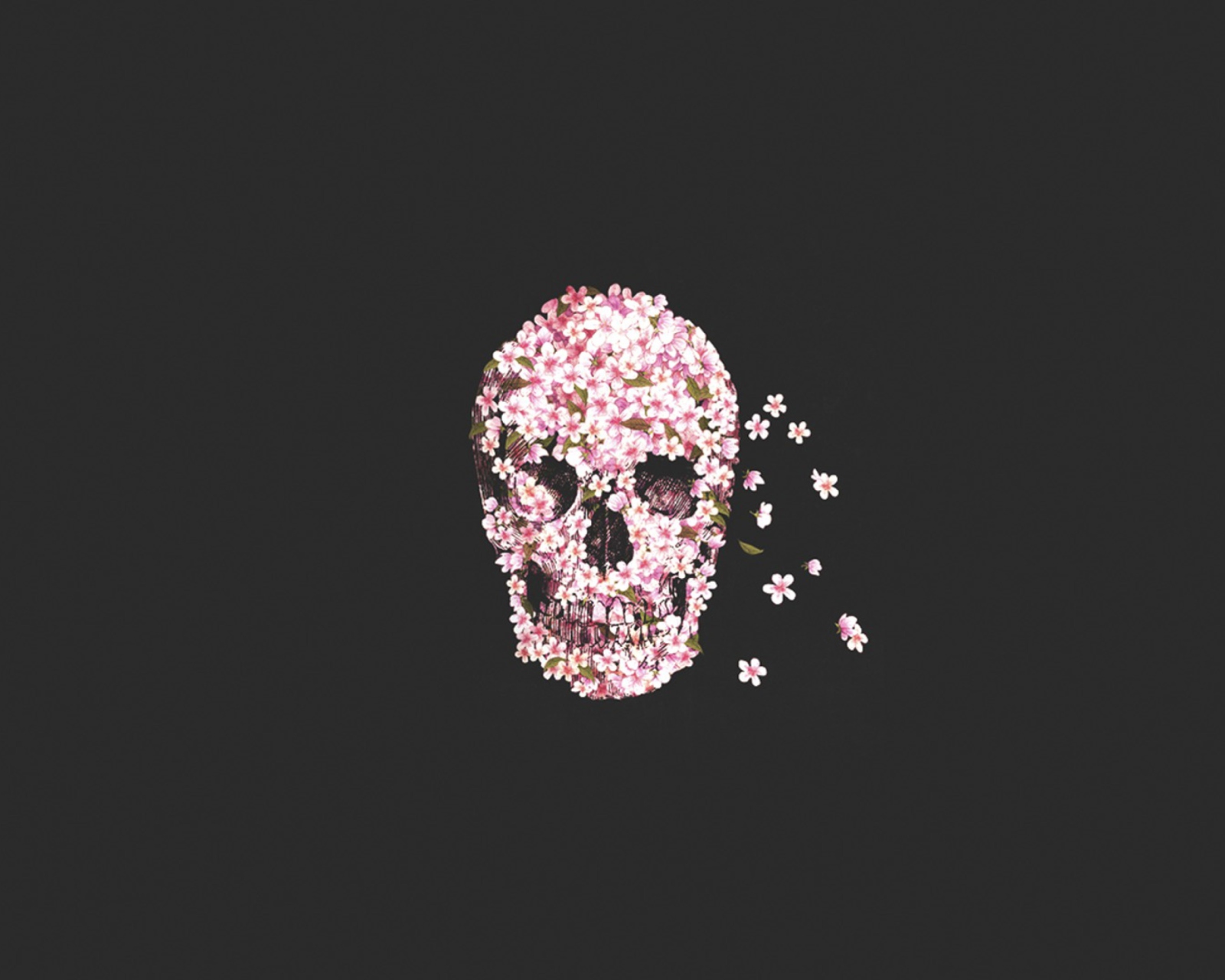 Flower Skull screenshot #1 1600x1280