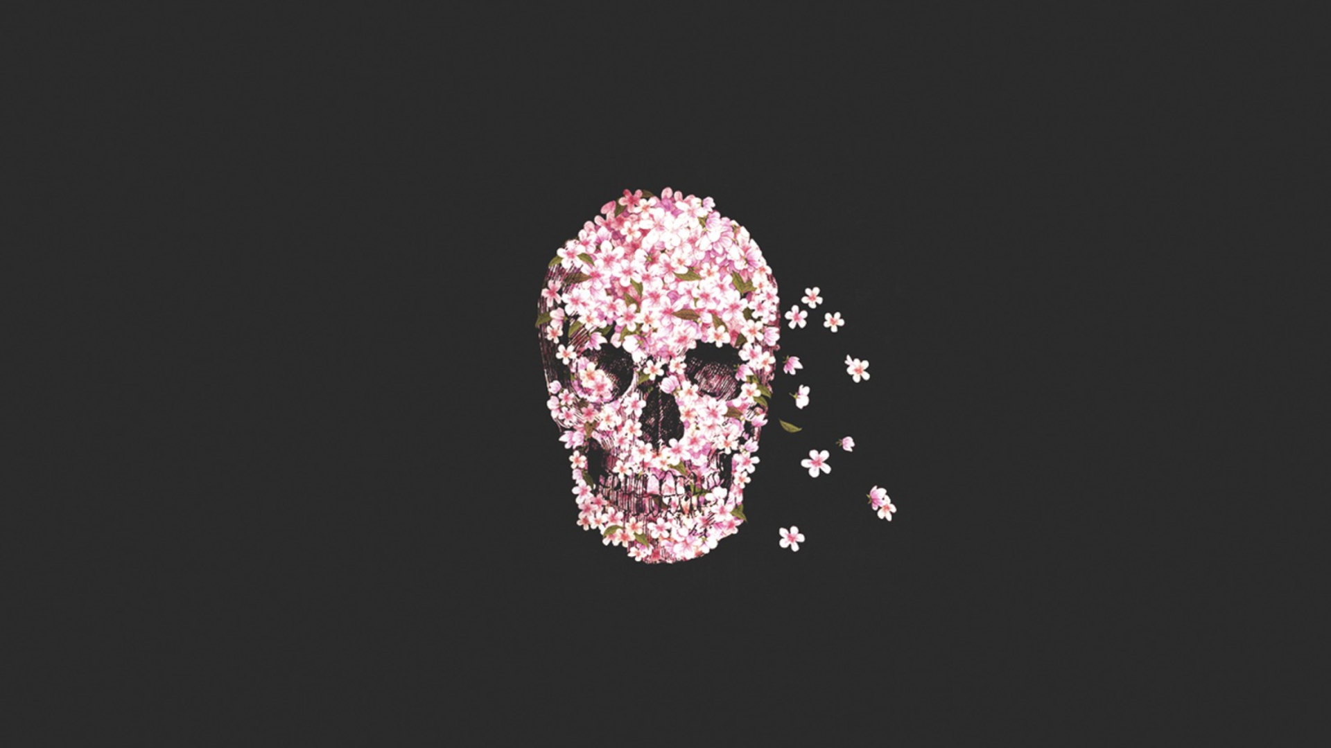 Screenshot №1 pro téma Flower Skull 1920x1080