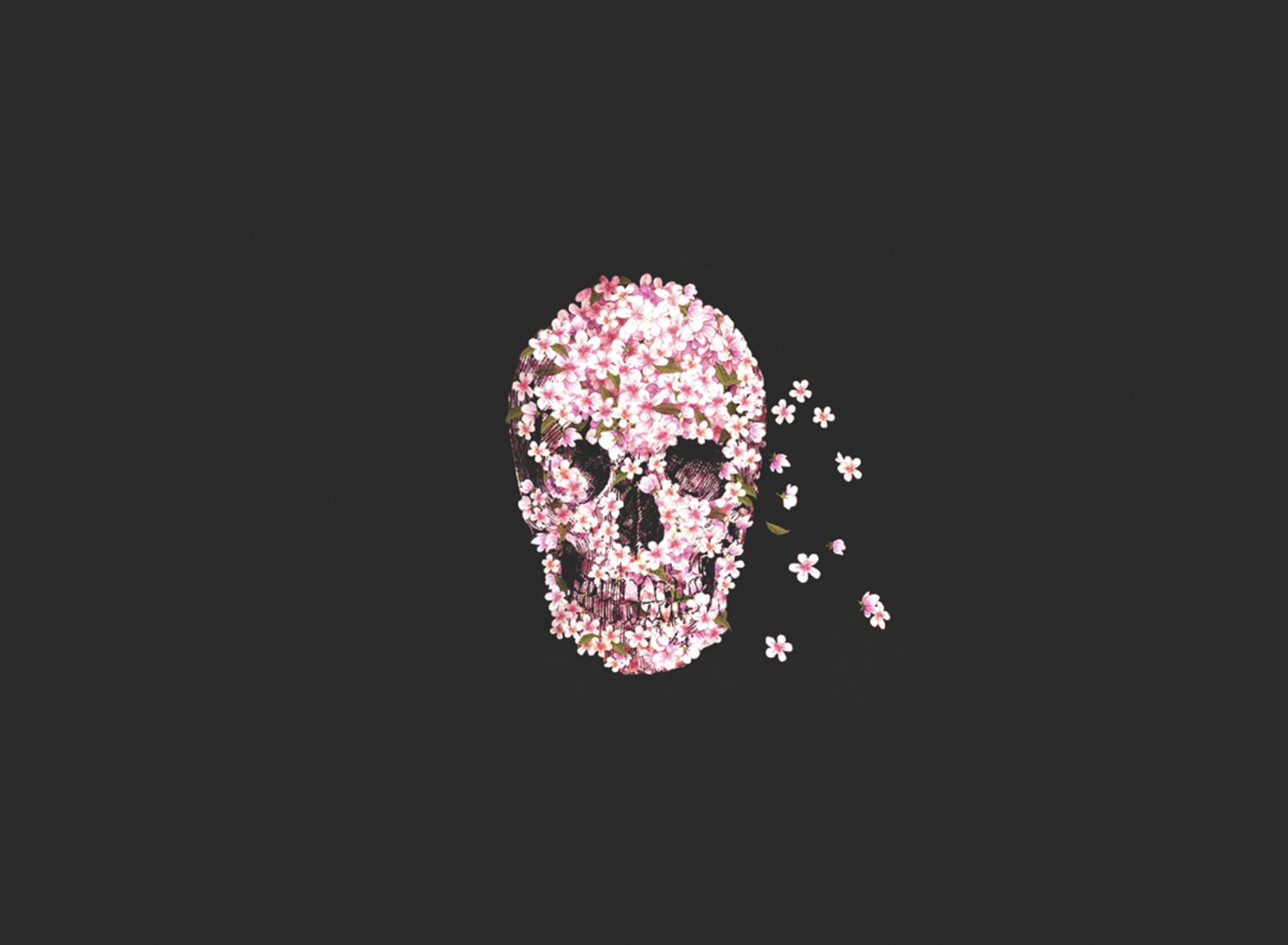 Screenshot №1 pro téma Flower Skull 1920x1408