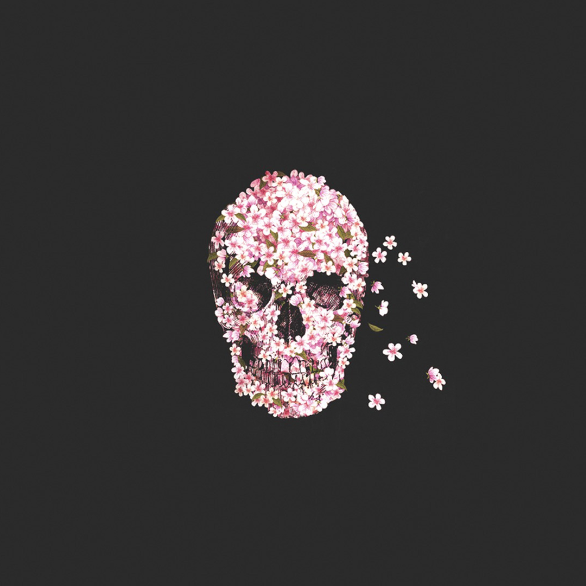 Fondo de pantalla Flower Skull 2048x2048