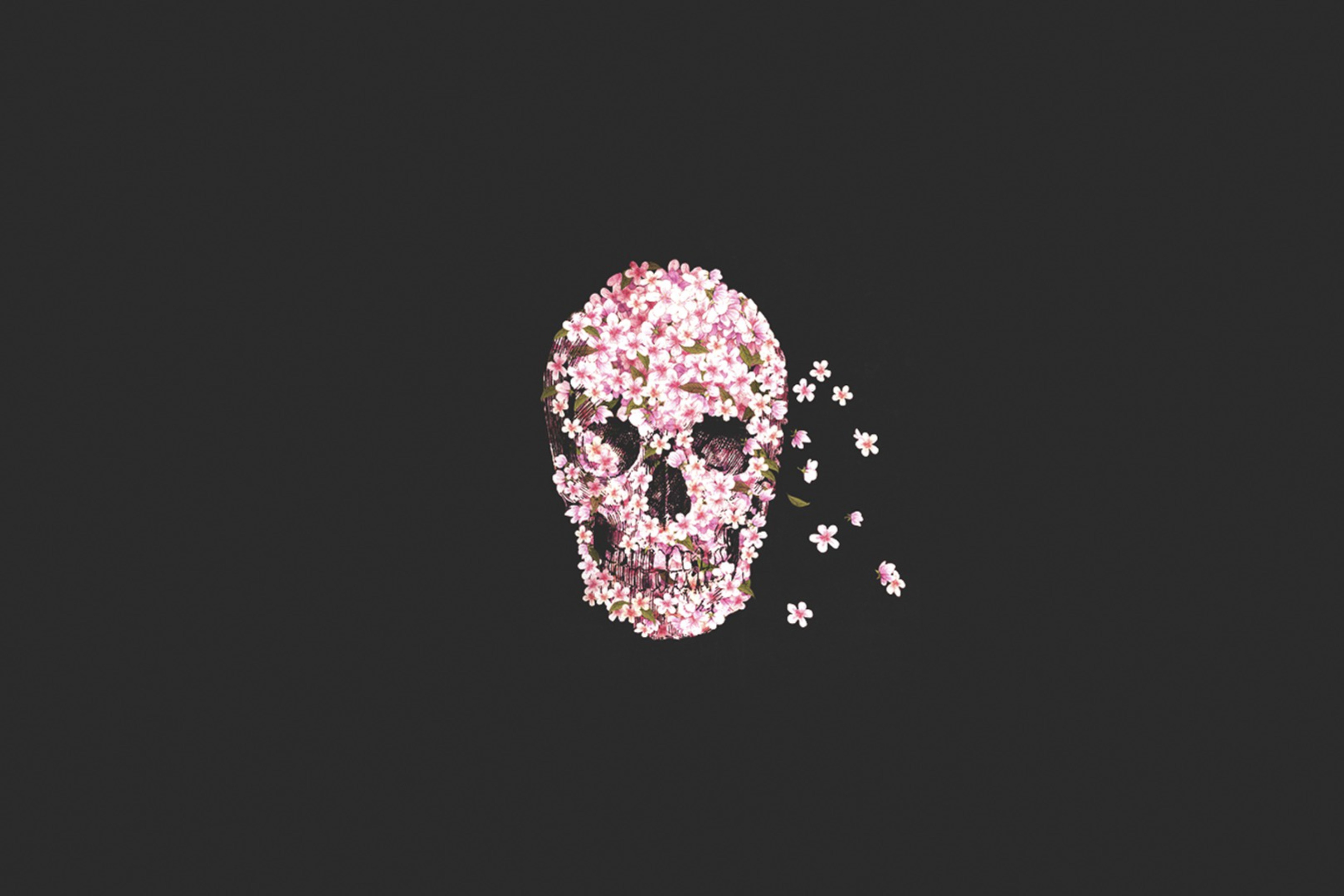 Screenshot №1 pro téma Flower Skull 2880x1920