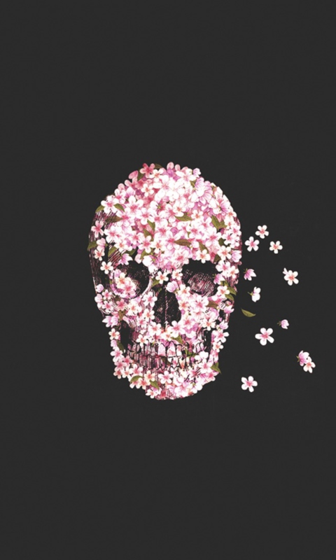 Screenshot №1 pro téma Flower Skull 480x800