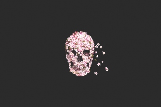 Flower Skull - Obrázkek zdarma pro Samsung Galaxy Tab 3 8.0