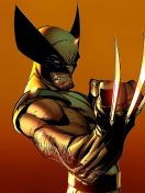 Wolverine screenshot #1 132x176