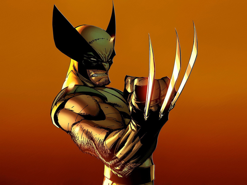 Das Wolverine Wallpaper 800x600