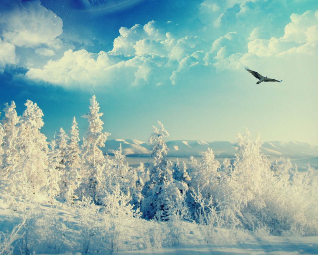 Screenshot №1 pro téma Bird In Sunny Winter Sky 1280x1024