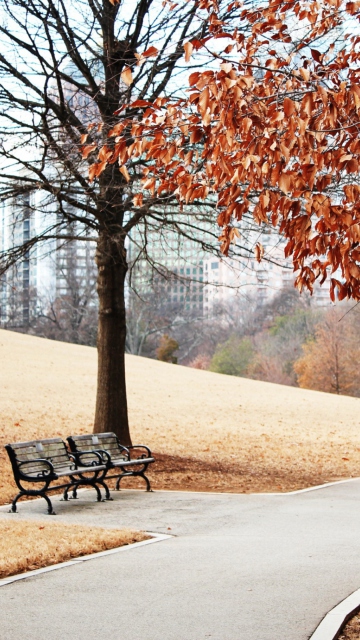 Autumn In Park wallpaper 360x640