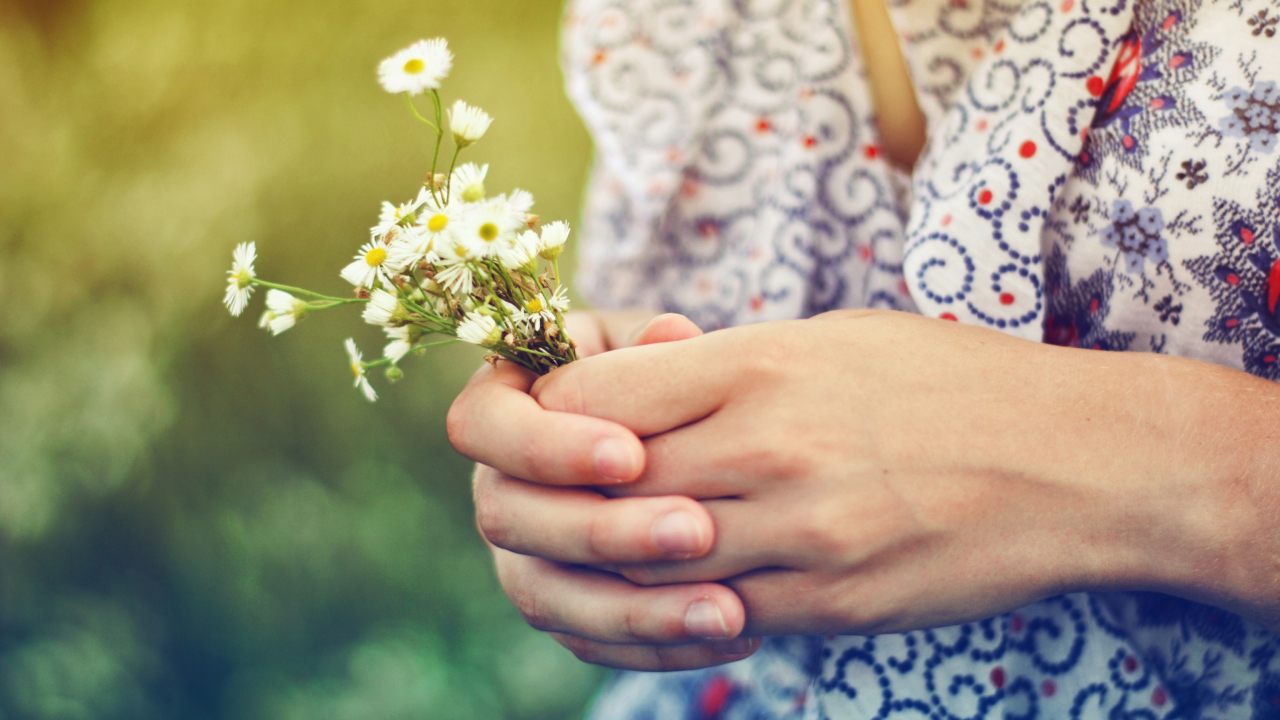 Screenshot №1 pro téma Daisies In Her Hands 1280x720