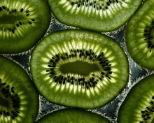 Fondo de pantalla Kiwi 220x176