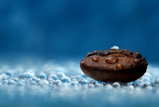 Coffee Bean Macro - Obrázkek zdarma pro HTC Desire HD