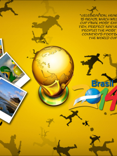 Fondo de pantalla FIFA World Cup 2014 Brazil 240x320