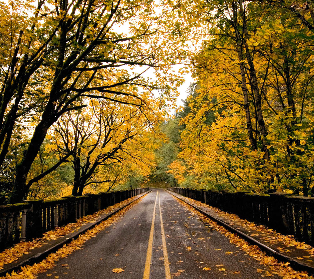 Das Wet autumn road Wallpaper 1080x960