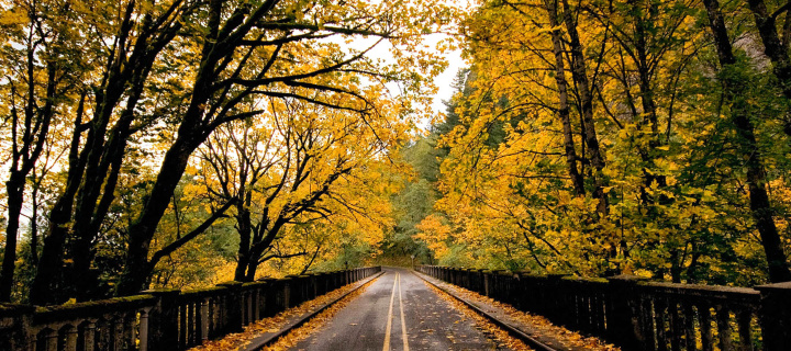 Das Wet autumn road Wallpaper 720x320