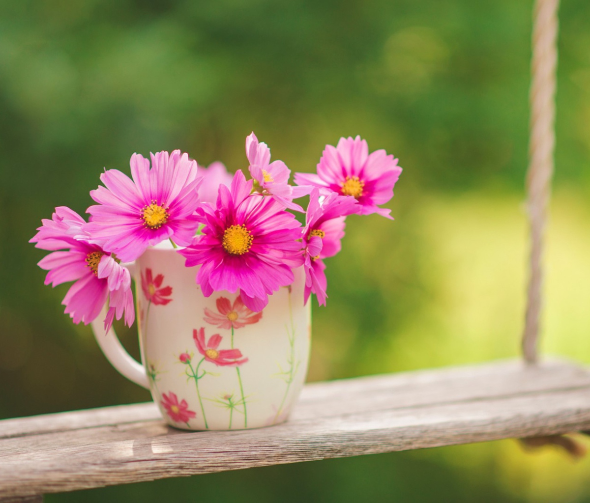 Pink Garden Cosmos Mini Bouquet screenshot #1 1200x1024