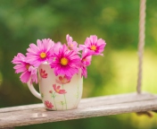 Pink Garden Cosmos Mini Bouquet screenshot #1 176x144
