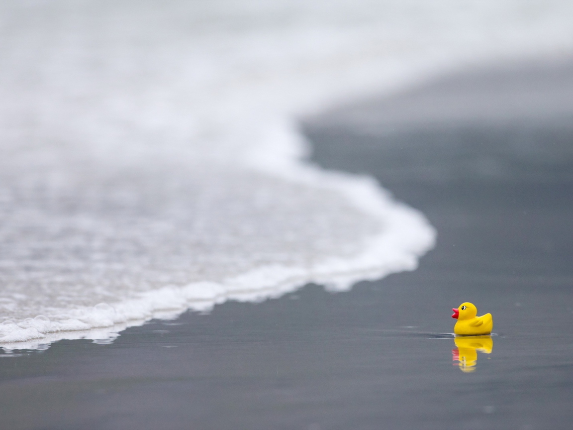 Sfondi Yellow Rubber Duck At Beach 1152x864