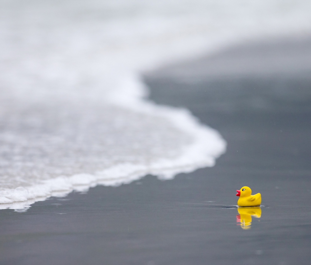 Yellow Rubber Duck At Beach screenshot #1 1200x1024
