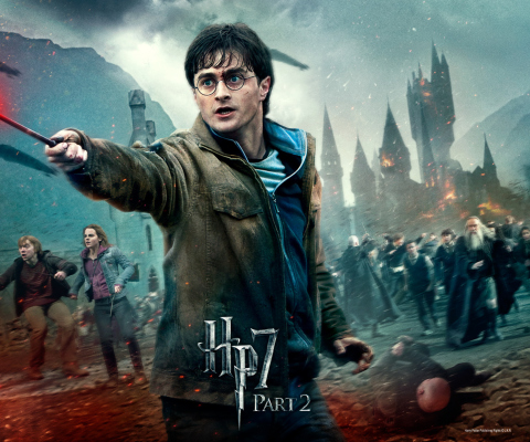 Harry Potter HP7 wallpaper 480x400