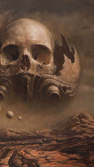 Skull Desert wallpaper 360x640