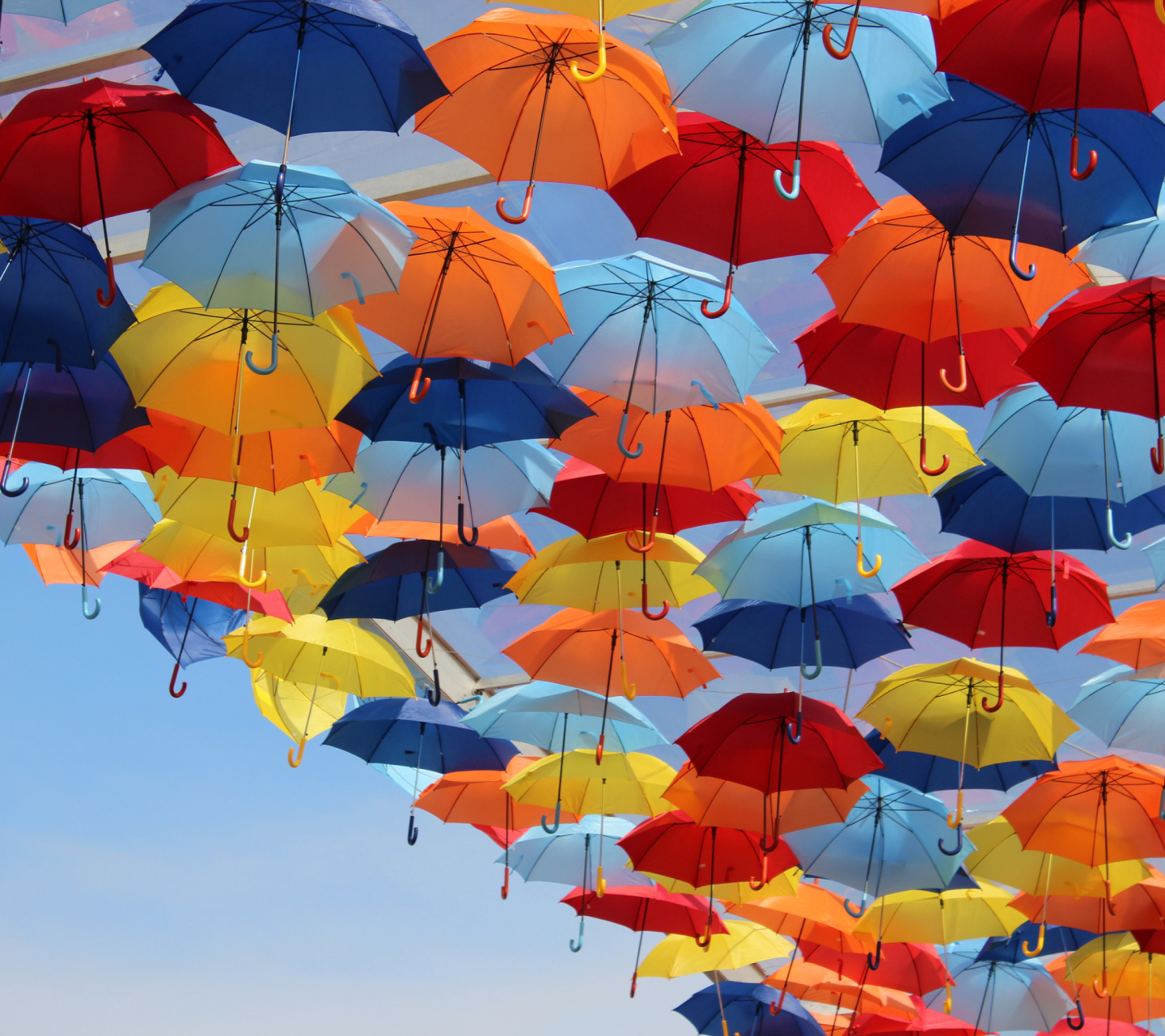 Sfondi Umbrellas In Sky 1440x1280