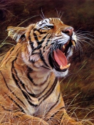 Das Tiger In The Grass Wallpaper 132x176